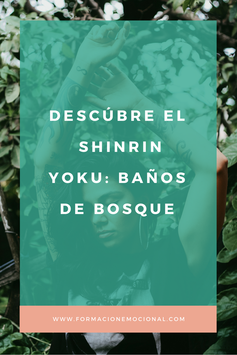 Shinrin Yoku, Baño de bosque